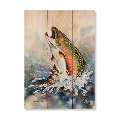 WILE E. WOOD Wile E. Wood DBBT-1115 11 x 15 in. Bartholets Brook Trout Wood Art DBBT-1115